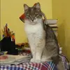 Отзыв от Клавдия Фролова